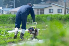 田んぼの作業