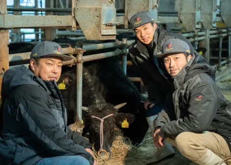 スタッフ3名と牛