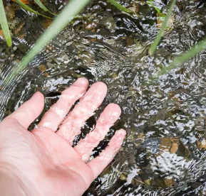 水に触れる手